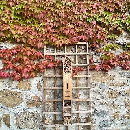 Les Caselles - Gite, Table Et D'hotes 4* Saint-Beauzely